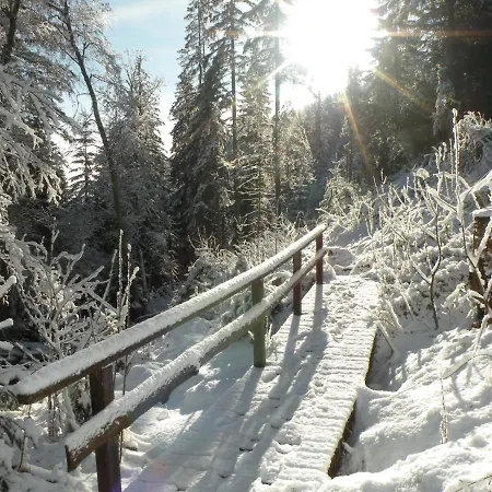 Urlaub Im Zirbenland Villa Obdach Buitenkant foto
