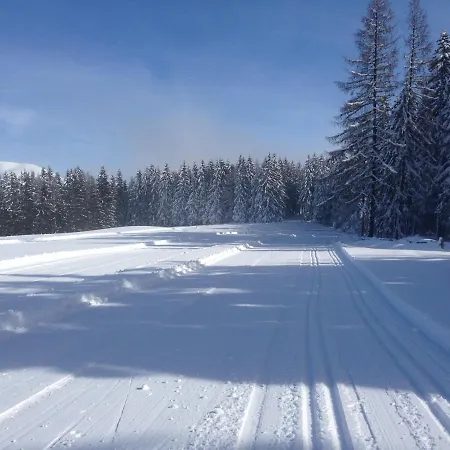 Urlaub Im Zirbenland Villa Obdach Buitenkant foto