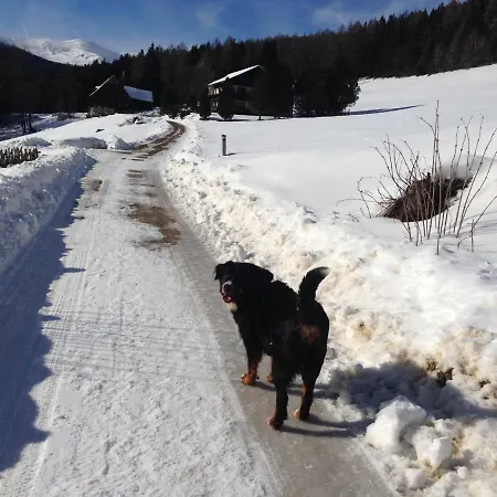 Urlaub Im Zirbenland Villa Obdach Buitenkant foto