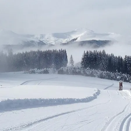 Urlaub Im Zirbenland Villa Obdach Buitenkant foto