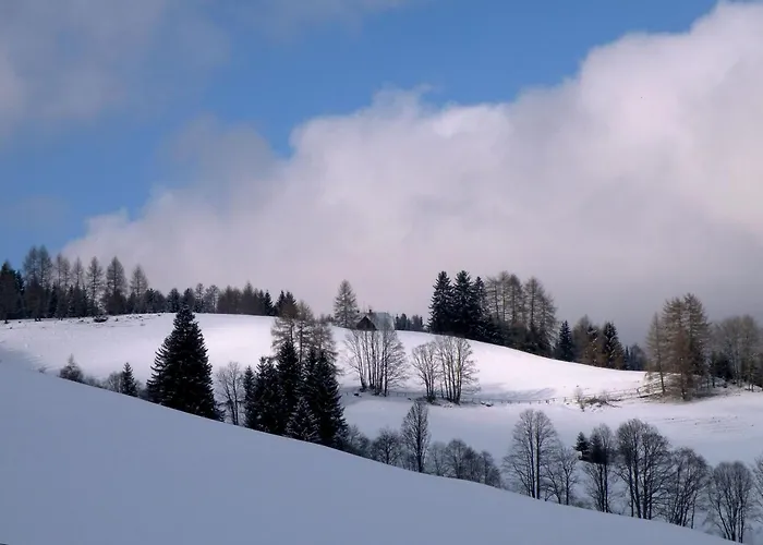 Urlaub Im Zirbenland