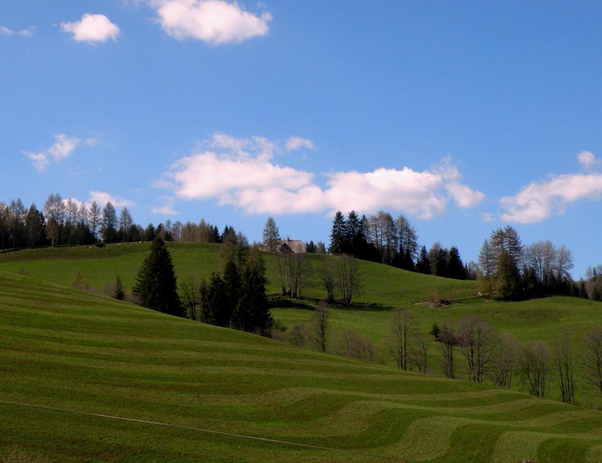 Holiday home Urlaub Im Zirbenland Obdach