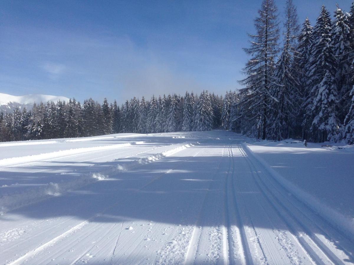 Holiday home Urlaub Im Zirbenland Obdach