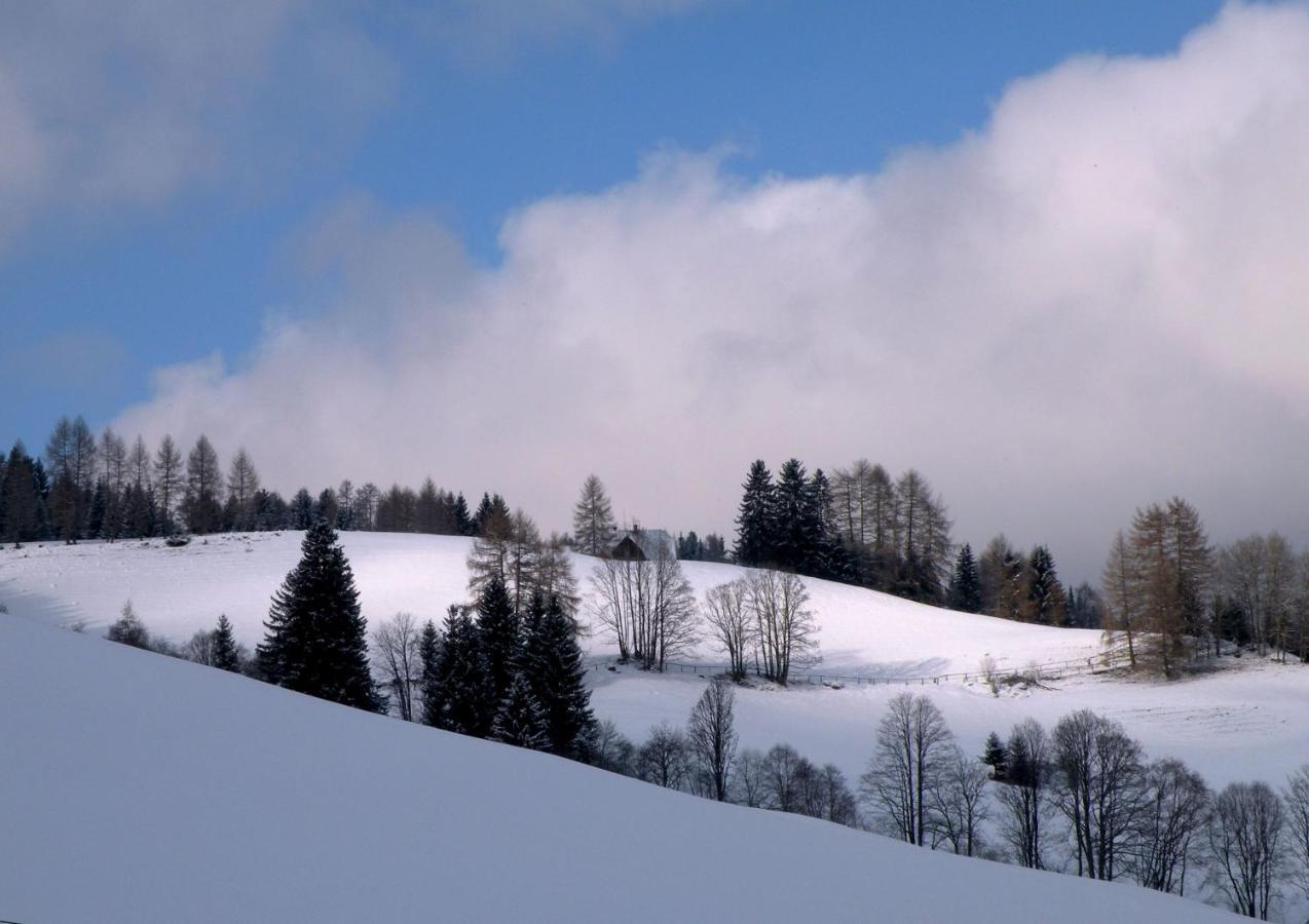 Urlaub Im Zirbenland Holiday home