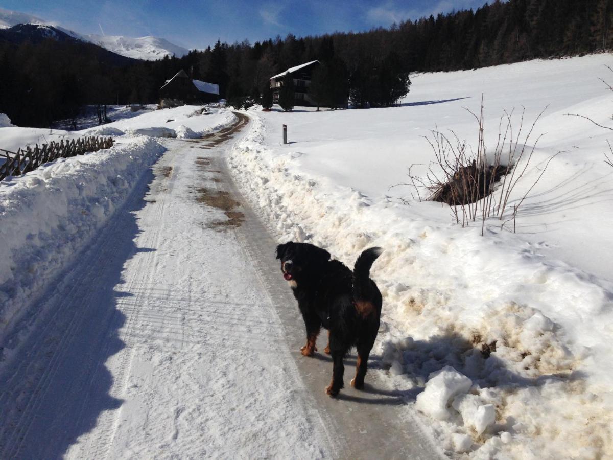 Holiday home Urlaub Im Zirbenland
