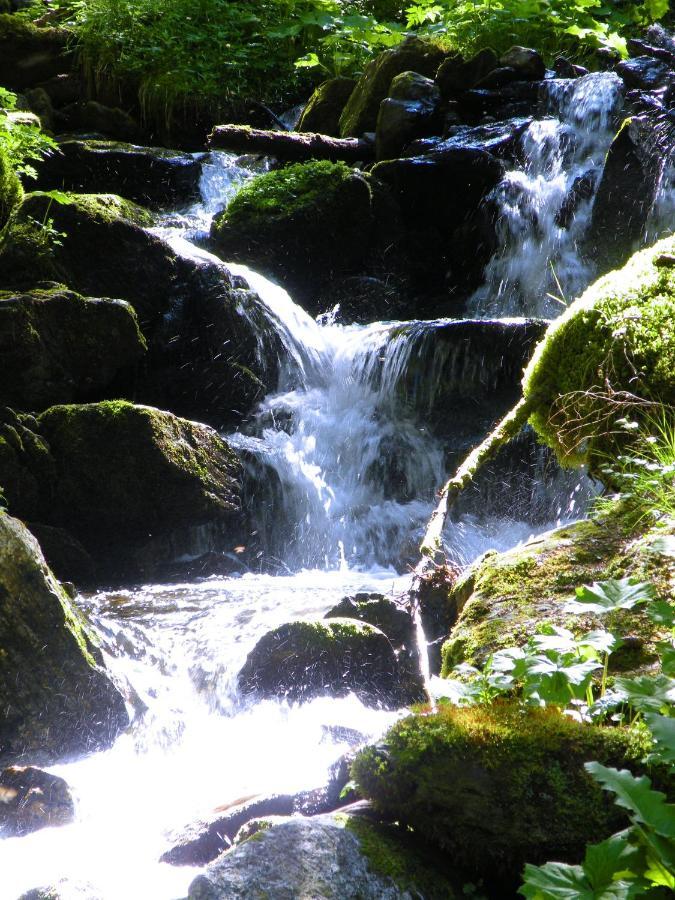 Urlaub Im Zirbenland *