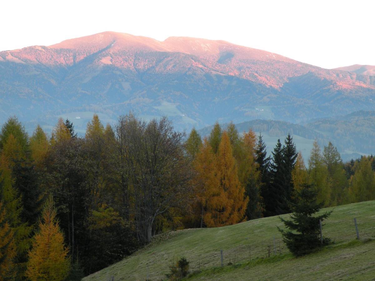 Urlaub Im Zirbenland Holiday home *