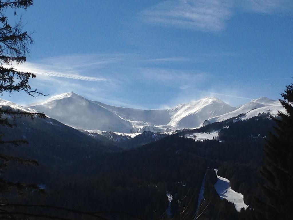 Urlaub Im Zirbenland Obdach